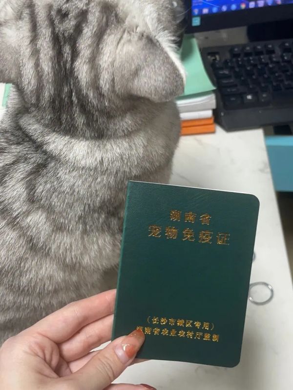赣州 托运运输 靠谱 火车托运