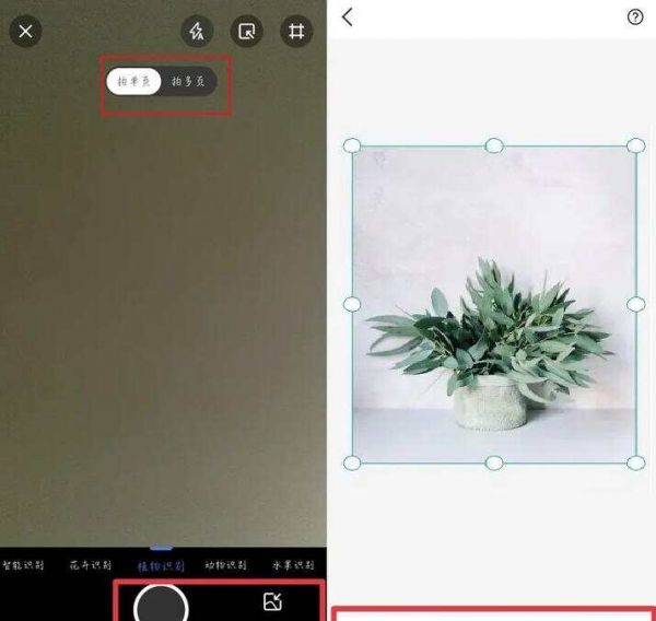 简单好用、识别率超高的智能识别软件推荐！