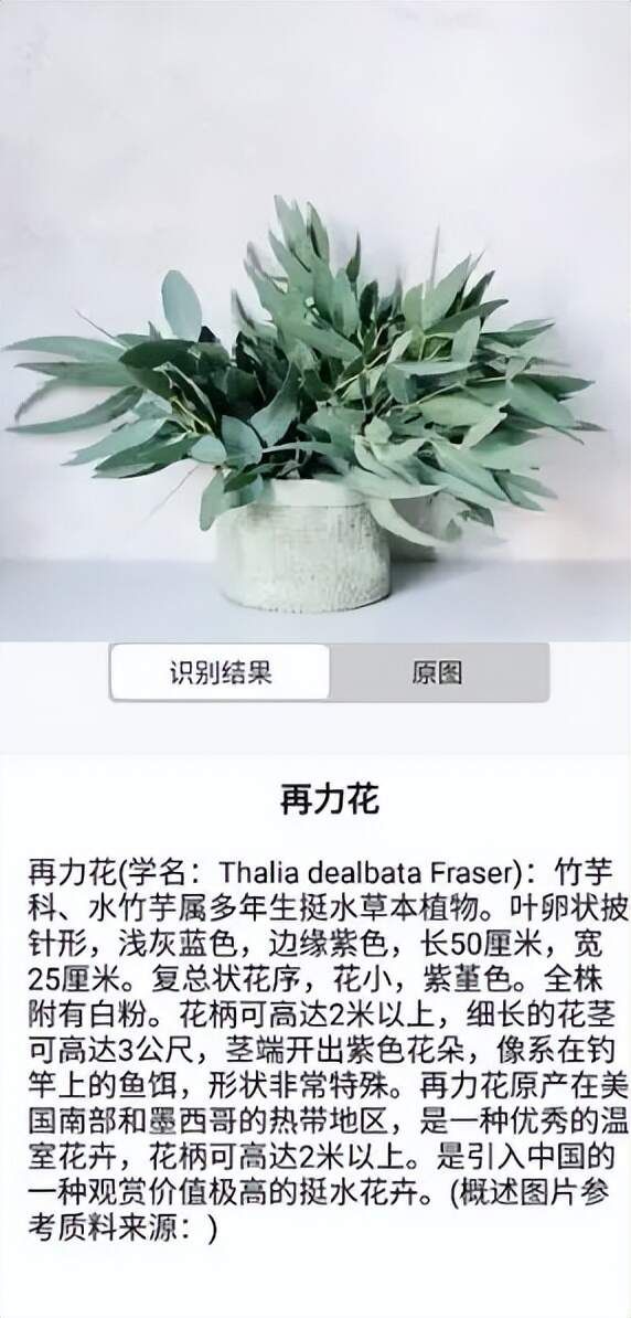 简单好用、识别率超高的智能识别软件推荐！