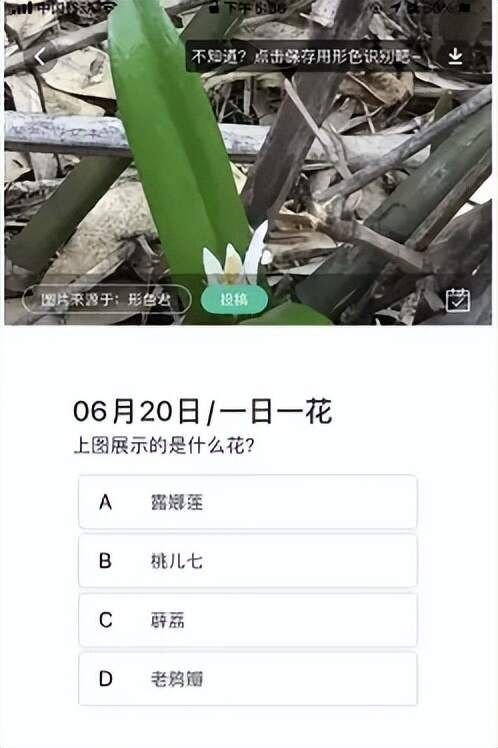简单好用、识别率超高的智能识别软件推荐！