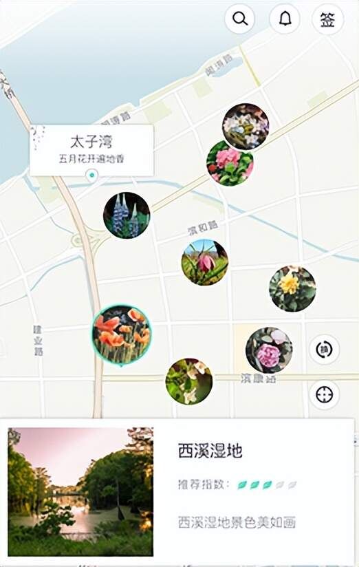 简单好用、识别率超高的智能识别软件推荐！