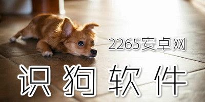 认识狗的软件有哪些?识狗品种的软件-狗狗识别软件下载