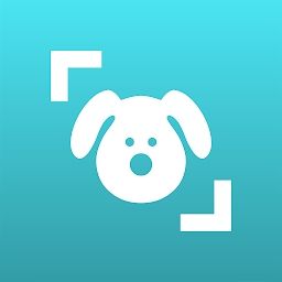 狗狗鉴定器app