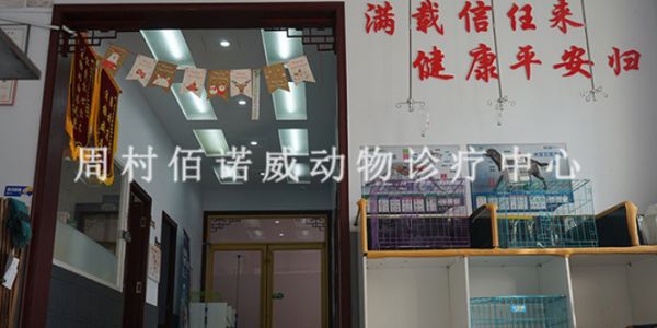 邹平腾辉名居附近便宜的宠物医院电话,宠物医院