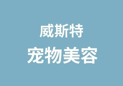威斯特宠物美容