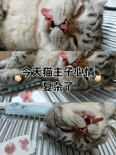 一生一次就够了！