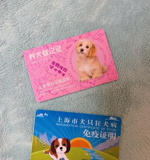 宠物狗证如何办理（从初次申请到续期）