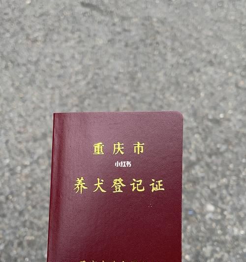 宠物狗证如何办理（从初次申请到续期）
