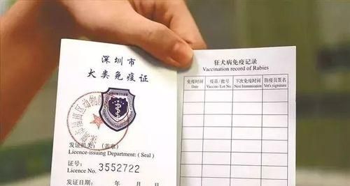 宠物狗证如何办理（从初次申请到续期）