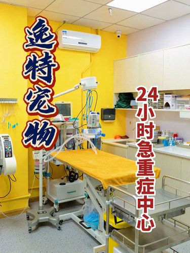 宠物护理8选1只要1元❣️抄底秒杀价！刚上线！