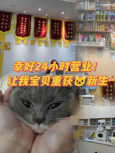 差点救不活❗❗