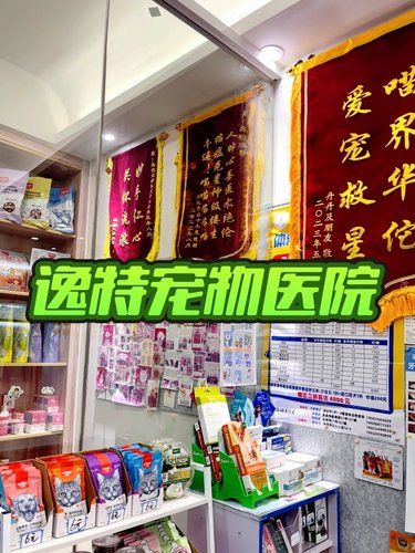 流浪小猫后续来啦！