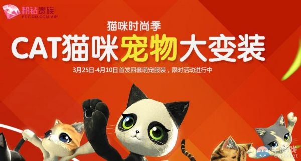 《剑灵》猫咪时尚季活动 CAT猫咪宠物大变装