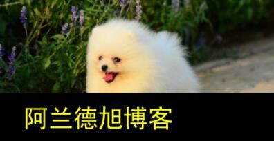 白毛狗品种2.jpg