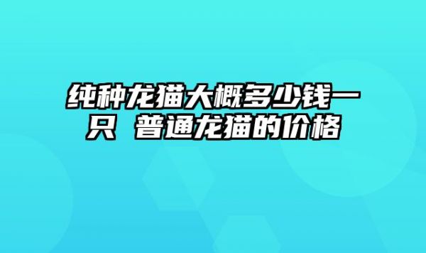 纯种龙猫大概多少钱一只 普通龙猫的价格