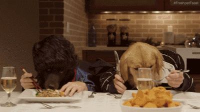 小狗肚脐眼鼓了一个包 可能是脐疝