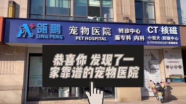 我愿称之为海宁蕞牛掰的猫咪绝育！！ 