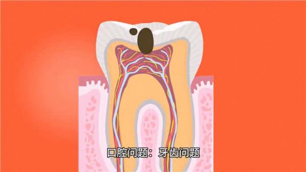 识别狗健康问题的迹象