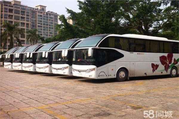 2021连云港宠物托运 、专线托运