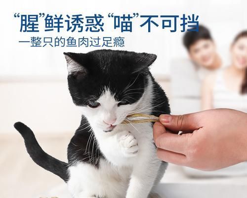 如何为你的猫咪做营养丰富的小鱼餐（以宠物为主）