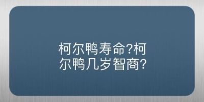 柯尔鸭寿命?柯尔鸭几岁智商?