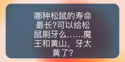 哪种松鼠的寿命最长?可以给松鼠刷牙么……魔王和黄山，牙太黄了?
