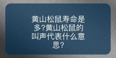 黄山松鼠寿命是多?黄山松鼠的叫声代表什么意思?