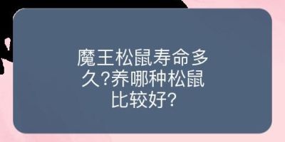 魔王松鼠寿命多久?养哪种松鼠比较好?