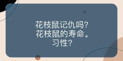 花枝鼠记仇吗?花枝鼠的寿命。习性?