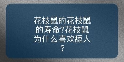 花枝鼠的花枝鼠的寿命?花枝鼠为什么喜欢舔人?