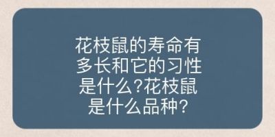 花枝鼠的寿命有多长和它的习性是什么?花枝鼠是什么品种?