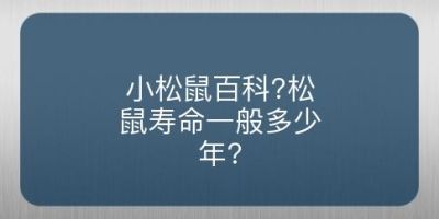 小松鼠百科?松鼠寿命一般多少年?