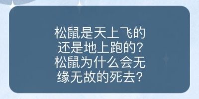 松鼠是天上飞的还是地上跑的?松鼠为什么会无缘无故的死去?