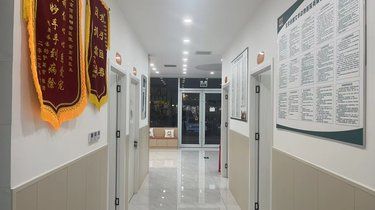 佰图动物医院｜猫咪健康的安心之选✨