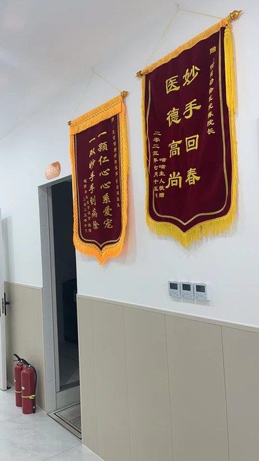 佰图——宠物的医疗天使