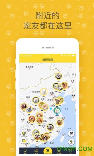 陪彼宠物手机版