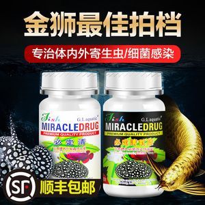 沈阳最大的宠物市场是沈阳最大的宠物市场是沈阳最大的宠物市场：沈阳市最大的宠物市场在哪里？ 鱼缸百科