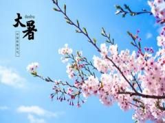 土猪年宝宝起名大全，猪年属土的女孩名字