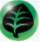 宝可梦TCGP属性克制一览