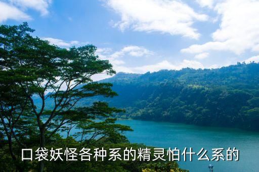 口袋妖怪各种系的精灵怕什么系的