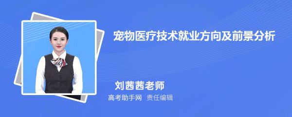 宠物医疗技术就业方向及前景分析