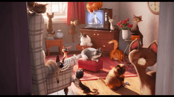 爱宠大机密 4K蓝光原盘下载+高清MKV版/Pet Pet当家(港)/宠物当家(台)/宠物的秘密生活 2016 The Secret Life of Pets 53.60G