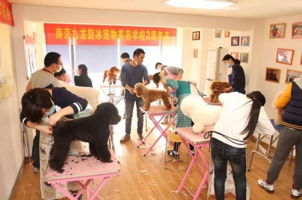 大连宠物美容培训学校?大连宠物美容培训学校多少钱!