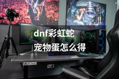 dnf彩虹蛇宠物蛋怎么得-第1张-游戏信息-启与高科技