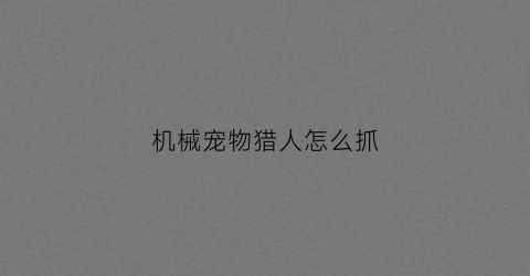 机械宠物猎人怎么抓