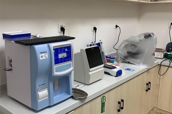 怎样选择靠谱的宠物医院，要看口碑、医生资质、设备等