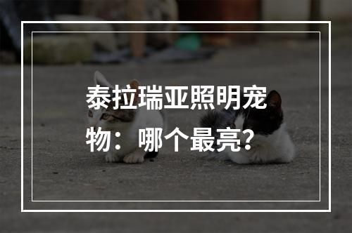 泰拉瑞亚照明宠物：哪个最亮？