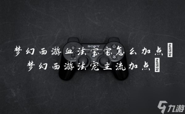 梦幻西游血法宝宝怎么加点(梦幻西游法宠主流加点)