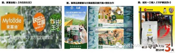 透视宠物板块双11：原料工艺成分创新，国产品牌强势崛起！
