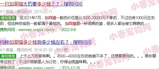 纯色加菲猫多少钱一只